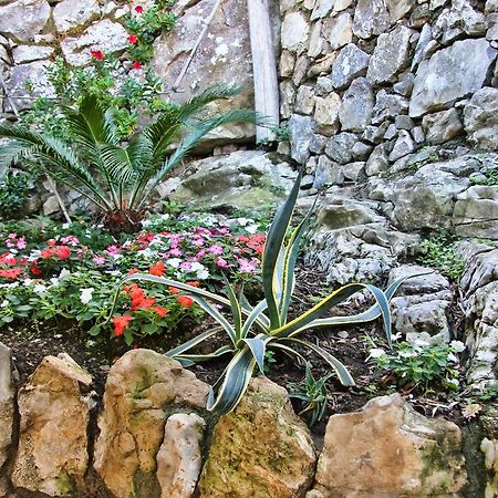 Casarufolo Paradise Półwysep Sorrentyński Zewnętrze zdjęcie